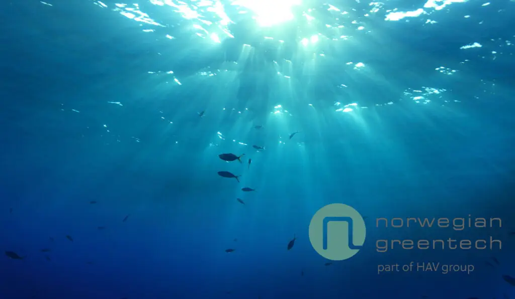 Norwegian Greentech under water image